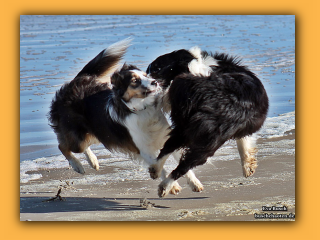 JayJay und Jayla (8).jpg